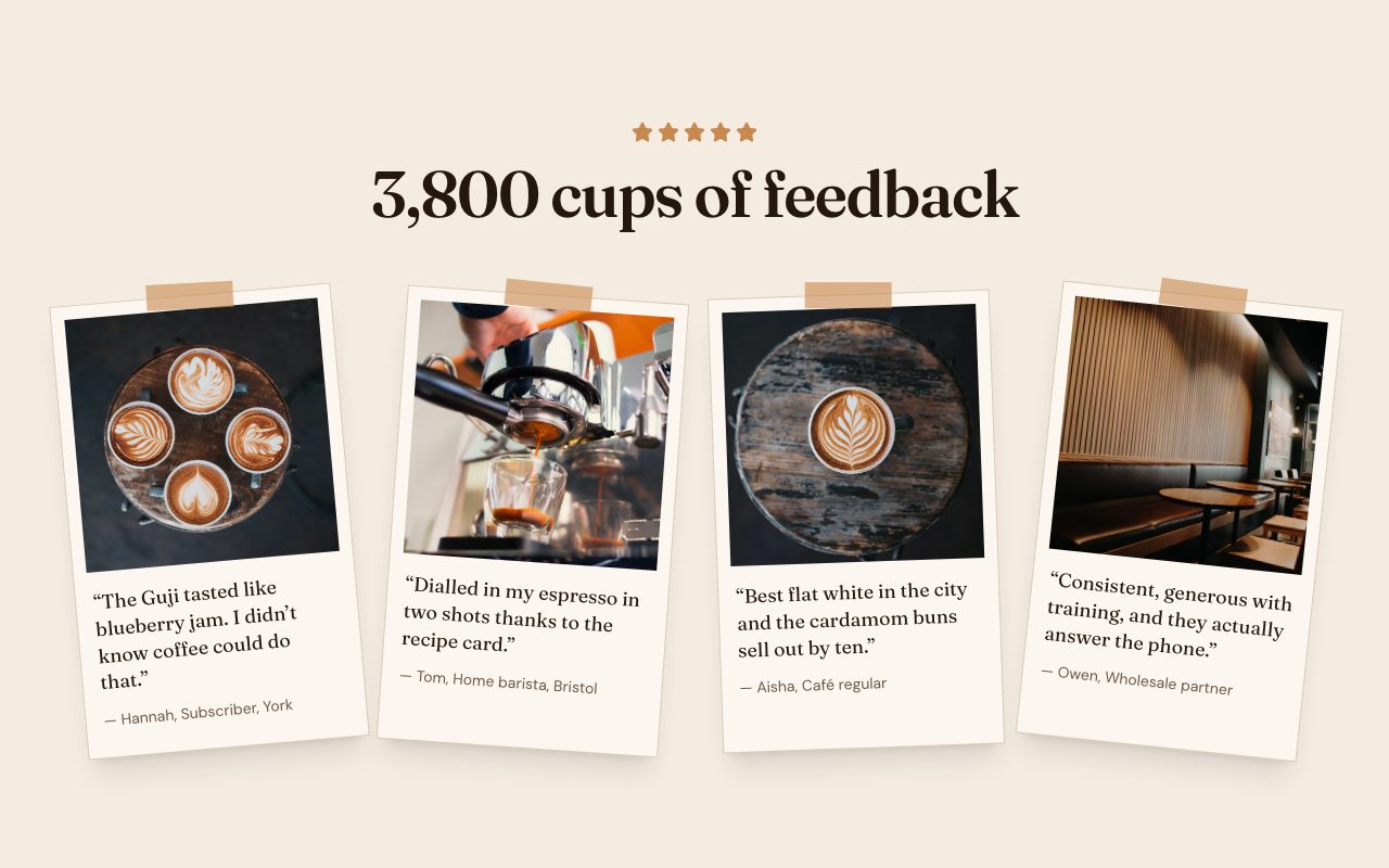 Cinderwick Polaroid Reviews preview