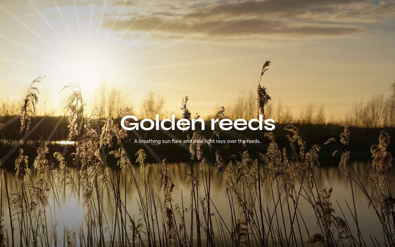 Golden Reeds Background preview