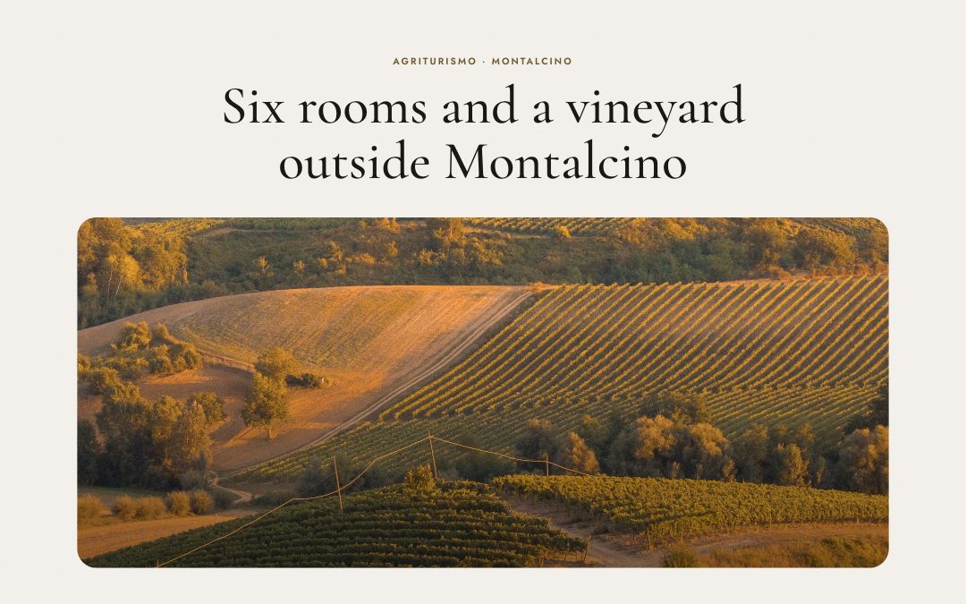 Poggio Lento — Vineyard Farm Stay preview